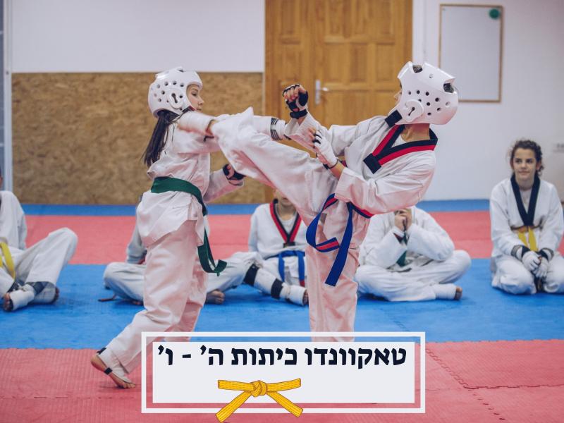 טאקוונדו - כיתות ב '- ו' - יום שני - מחולה